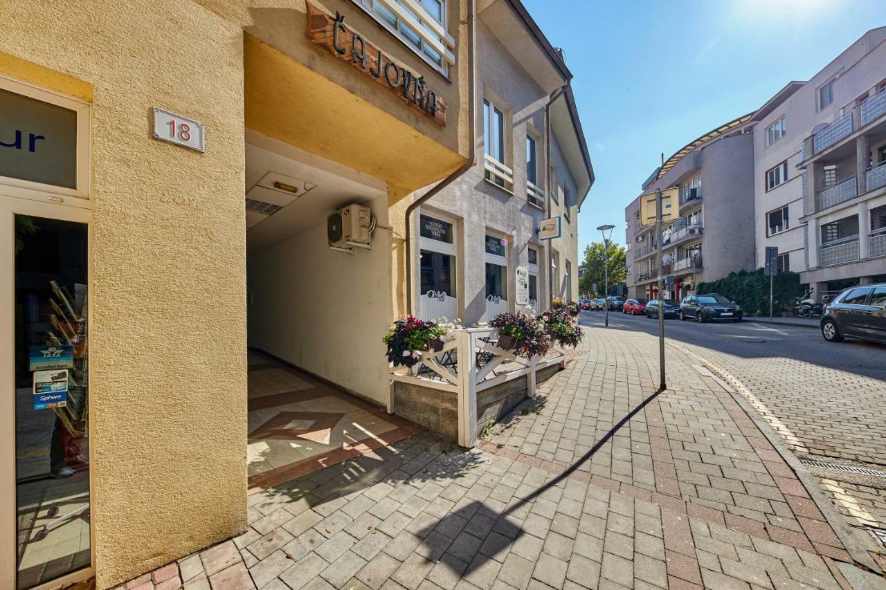 Pineapple Apartment ブラチスラヴァ エクステリア 写真